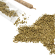 Image for article titled New York Puff-Puff-Passes Bill Legalizing Marijuana and Cuomo Signs It Into Law